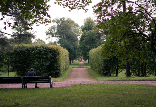 VK Fest, Odyssey и &laquo;ЭтоЭтно&raquo;: афиша Петербурга на неделю