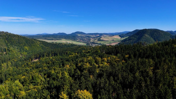 21 марта: какой праздник сегодня 21 марта: какой праздник сегодня