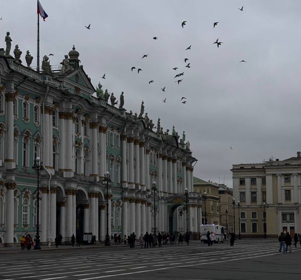 Эрмитаж, Русский музей и Петергоф без очередей: как быстро попасть в главные музеи Петербурга