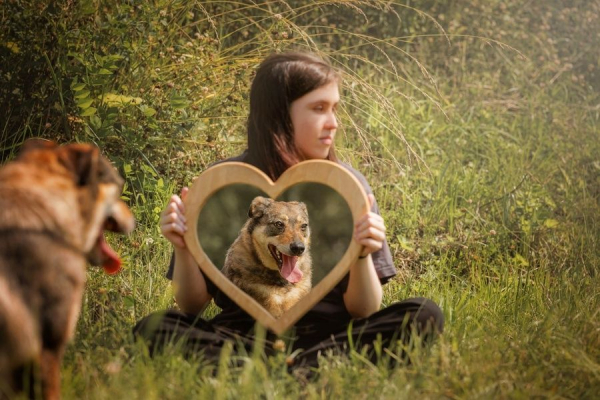 Приютская &mdash; не значит сложная: как фотовыставка в Петербурге помогает увидеть в собаке будущего питомца
